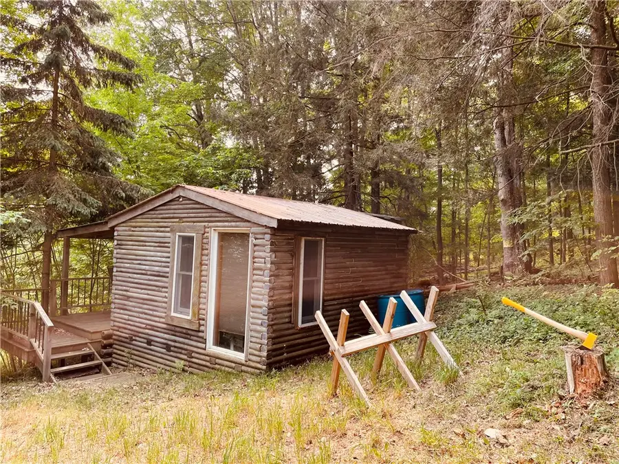 0 Dryden-harford Road, Dryden, NY 13053 - Image #2