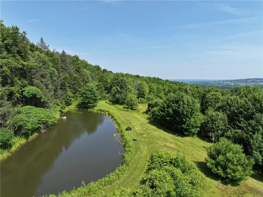 0 Dryden-harford Road, Dryden, NY 13053 - Image #3