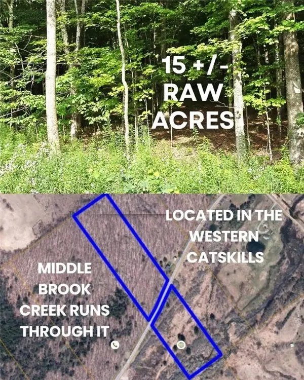 County Roue 29, Harpersfield, NY 12093