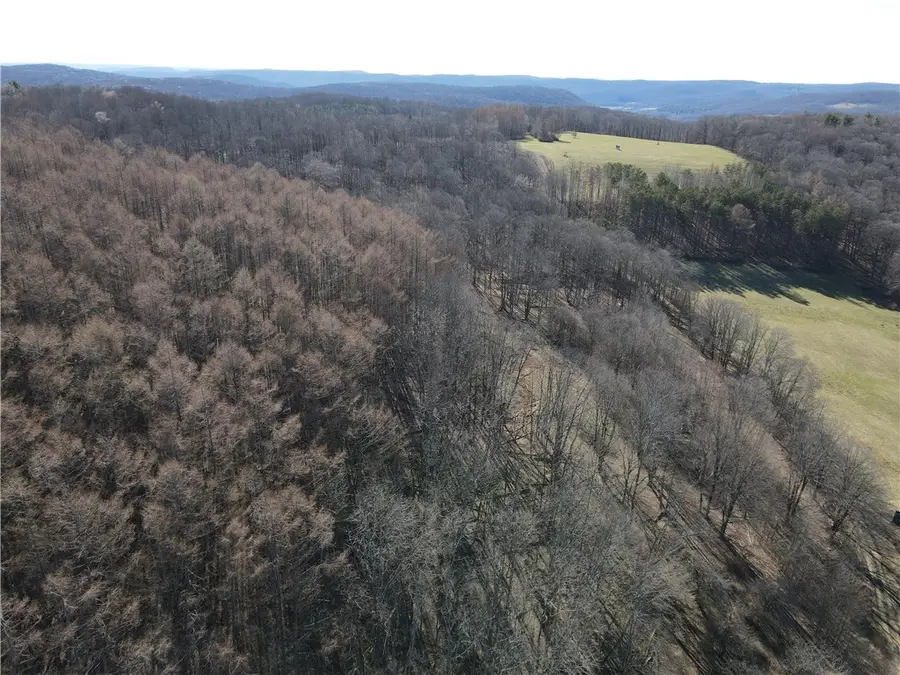 7739 Monihan Road, Friendship, NY 14739 - Image #2