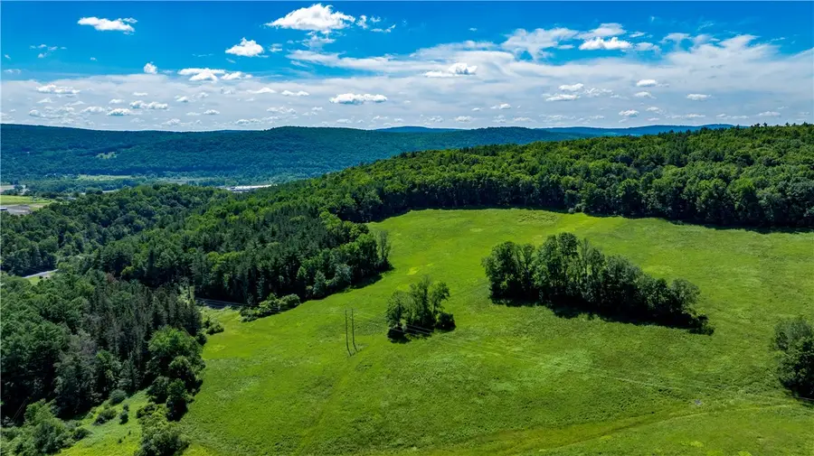 Lower Ravine Road, Norwich, NY 13815 - Image #3