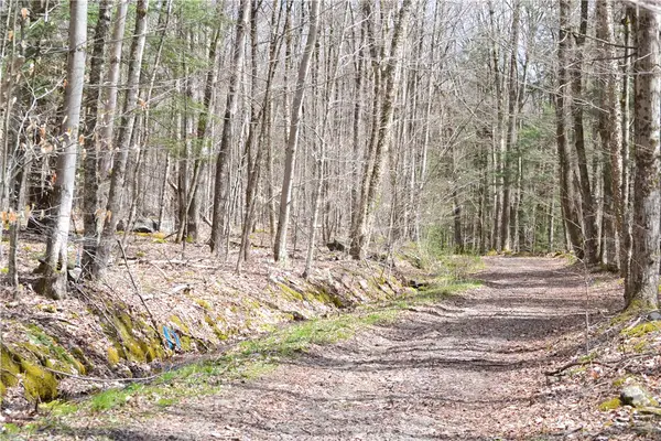 Address Withheld By Seller, Andes, NY 13731