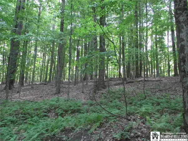 Snowball Hollow Road, Scio, NY 14880