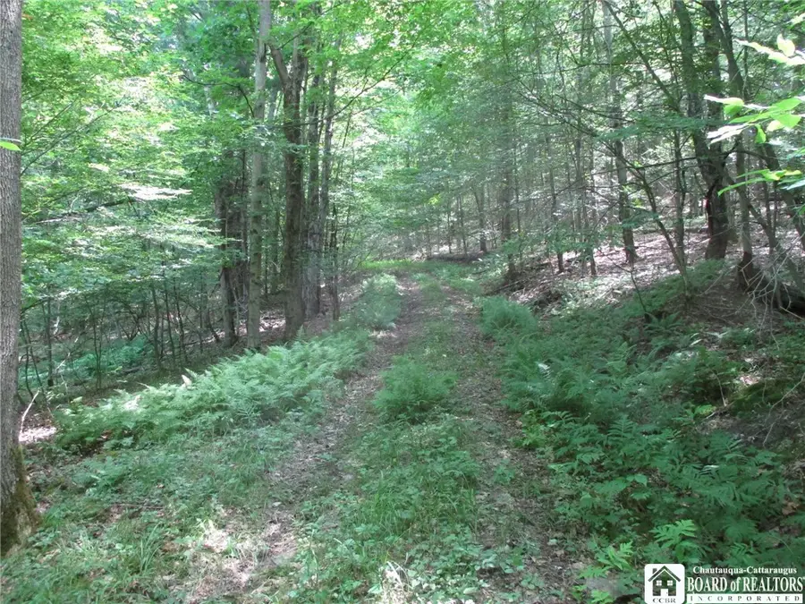 Snowball Hollow Road, Scio, NY 14880 - Image #2