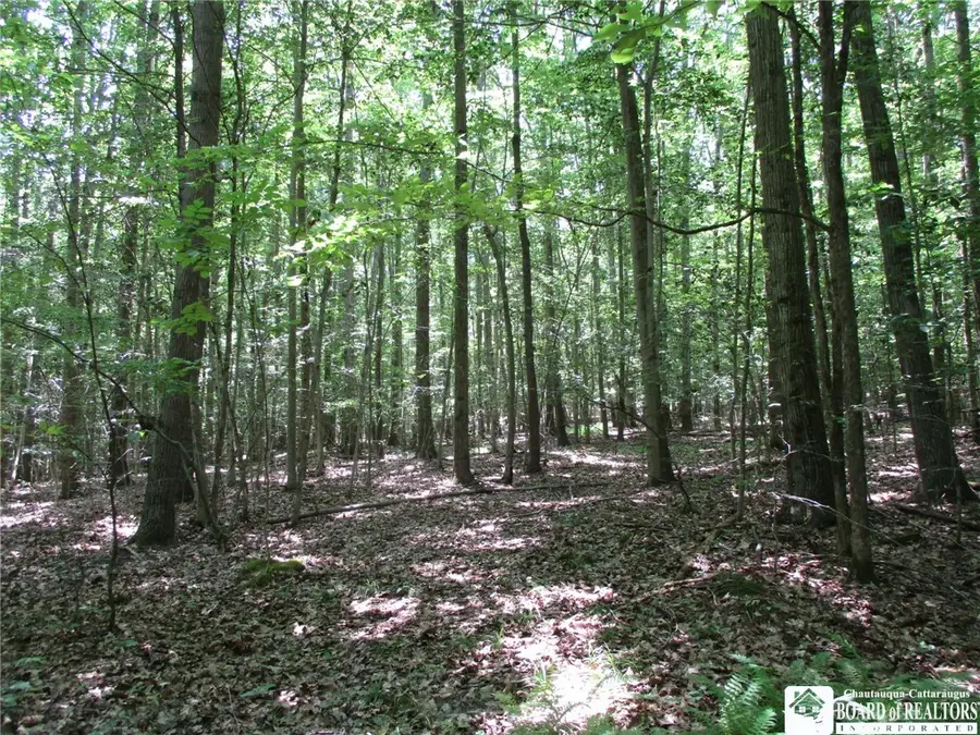 Snowball Hollow Road, Scio, NY 14880 - Image #3