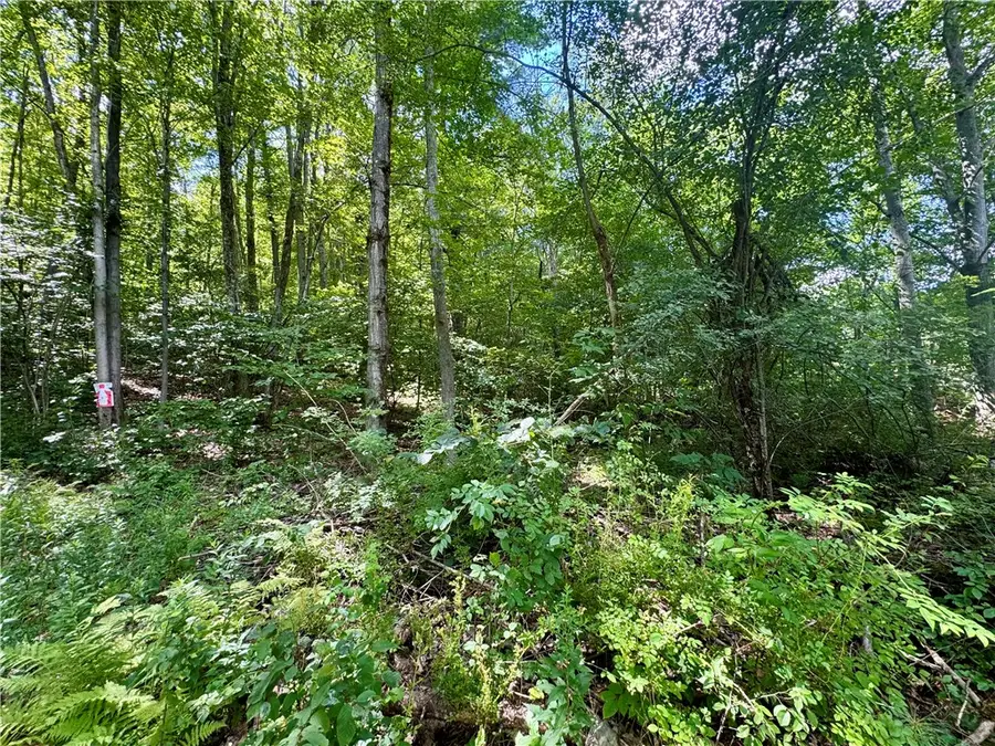 0 Breed Hollow Road, Corning, NY 14830 - Image #3