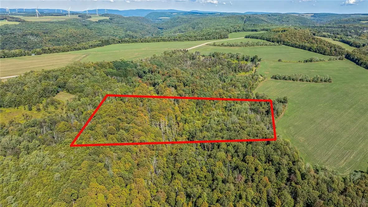 10373 Lookout, Prattsburgh, NY 14873 - Image #1