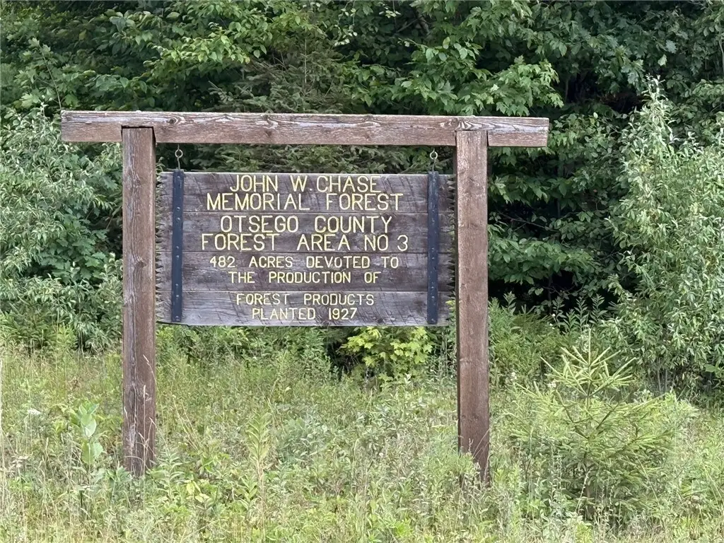 Van Cleef Road, Westford, NY 13488 - Image #1