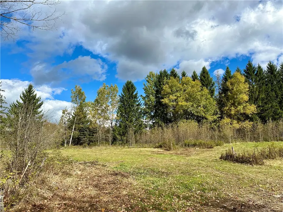 0 Jackson Hill Road, Treadwell, NY 13846 - Image #2