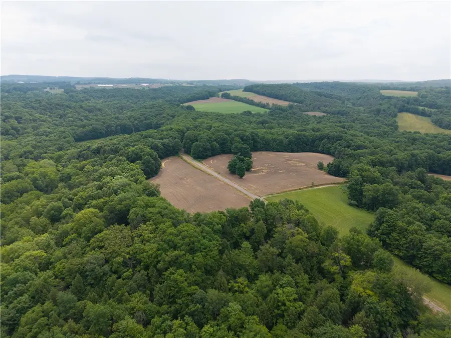 1337 Creek Road, Attica, NY 14011 - Image #2