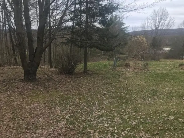 280 Saxby Road, Windsor, NY 13865