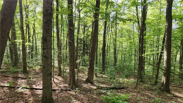 0 Hardknocks Road, Unadilla, NY 13849