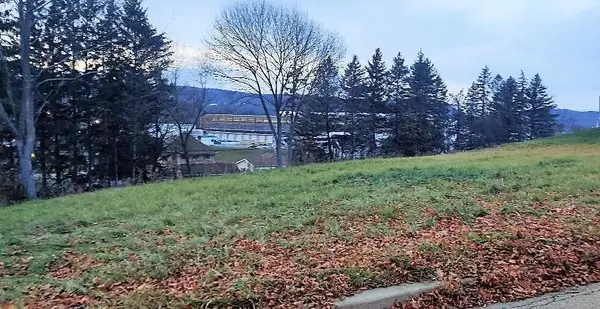 195 Greeley Avenue, Hornell, NY 14843