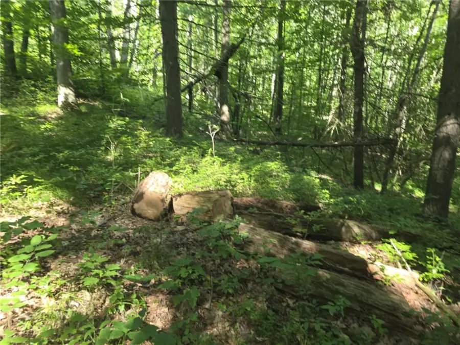 Whitcomb Road, Savona, NY 14879 - Image #3