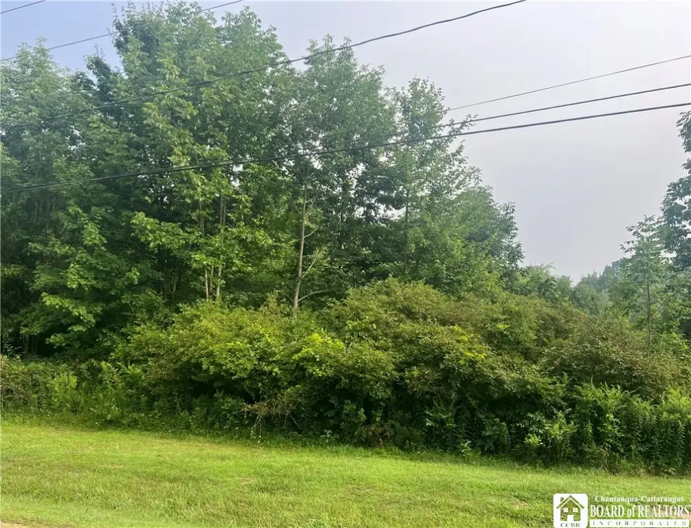 6642 Moore Road, Mayville, NY 14757 - Image #1