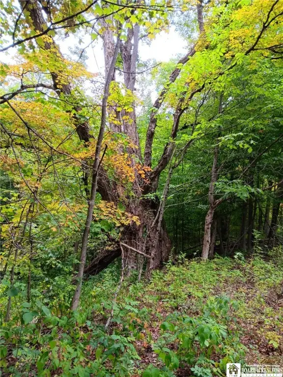 4101 Hopkins Road, Kennedy, NY 14747 - Image #3