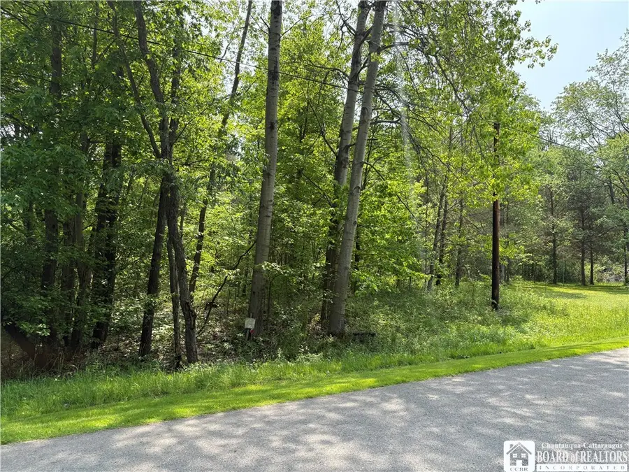 Burton Road, Jamestown, NY 14701 - Image #3