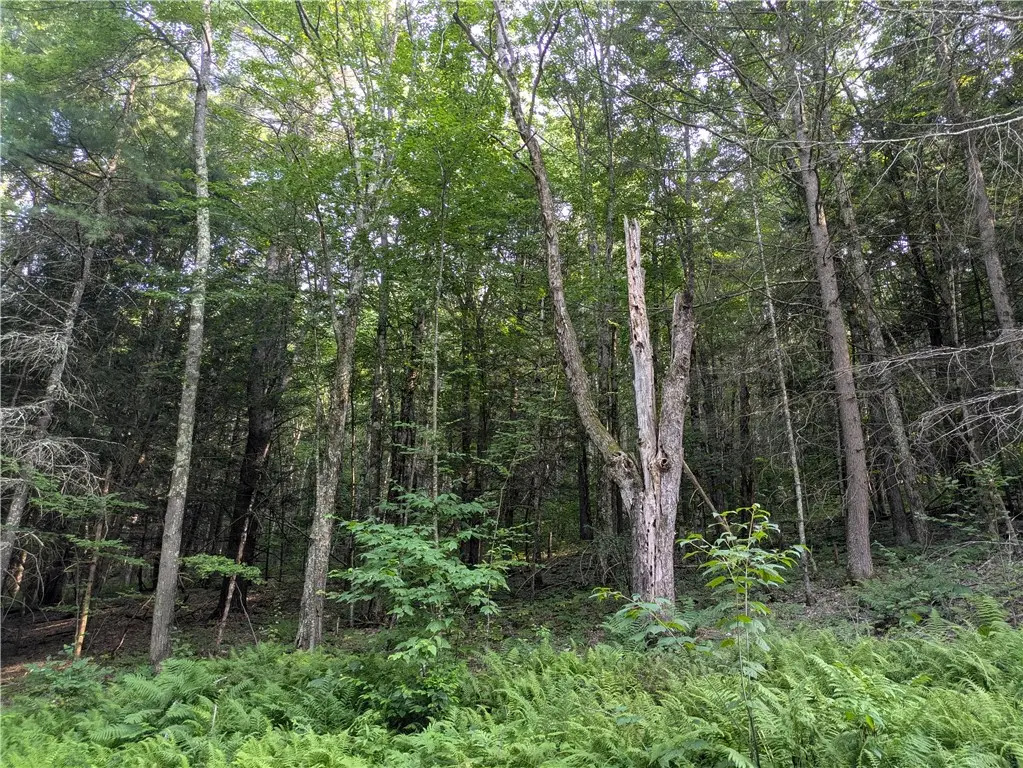 Lot 29 Peters Lane, Gilboa, NY 12076 - Image #1