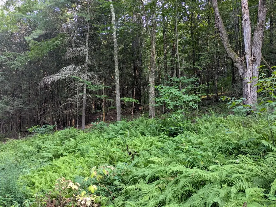 Lot 29 Peters Lane, Gilboa, NY 12076 - Image #2