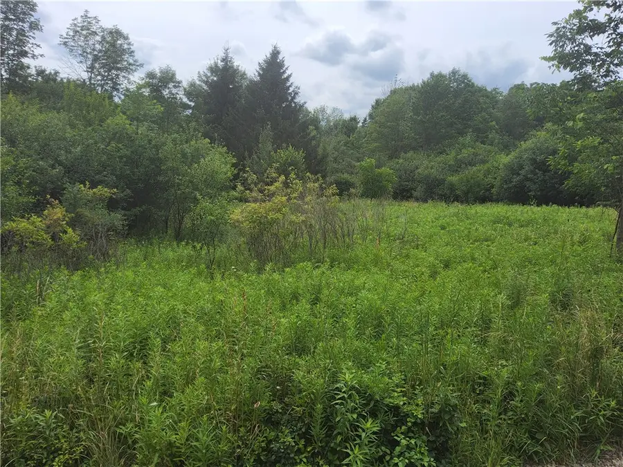 108 Scott Avenue, Wellsville, NY 14895 - Image #2