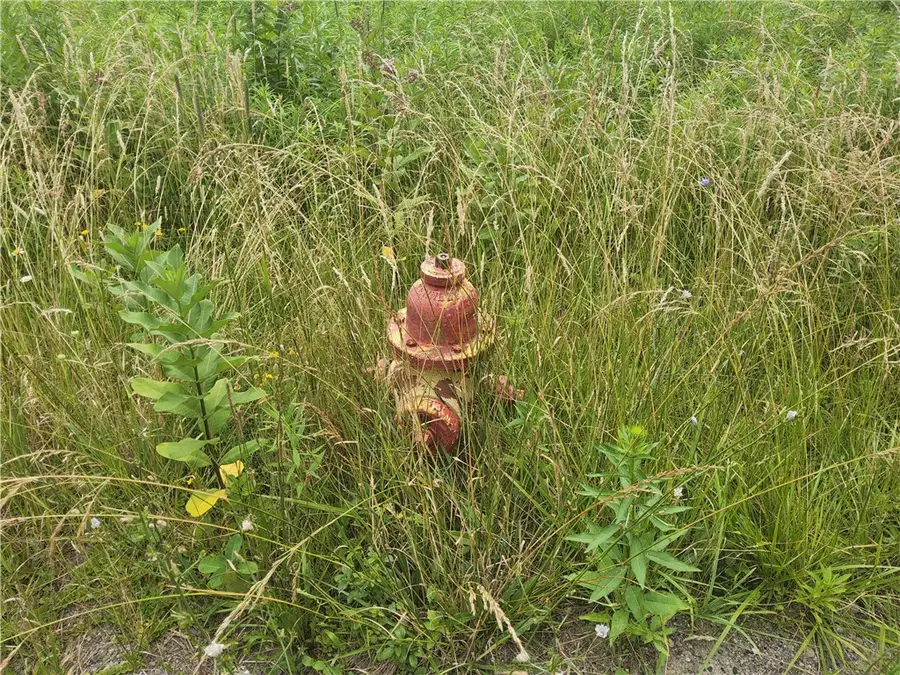 108 Scott Avenue, Wellsville, NY 14895 - Image #3