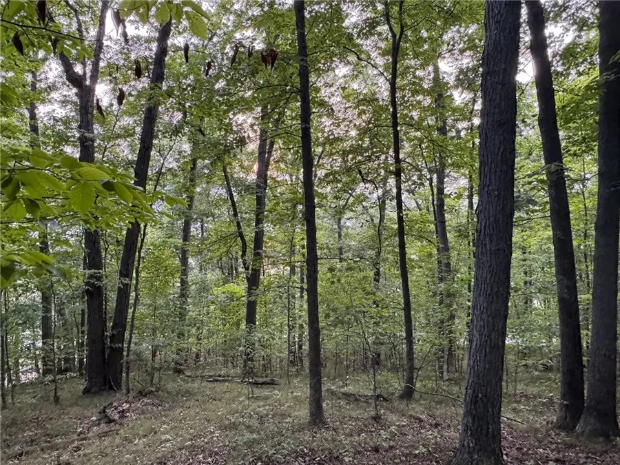 St Rt 54, Urbana, NY 14840 - Image #2