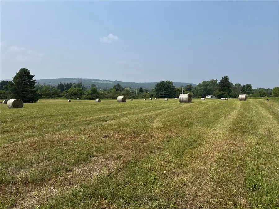 0 Beaver Dams Moreland Road, Dix, NY 14865 - Image #3