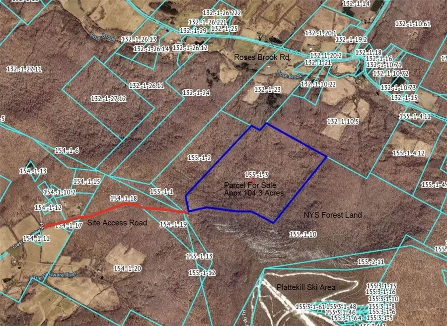 0 Roses Brk Road, Hobart, NY 13788 - Image #2