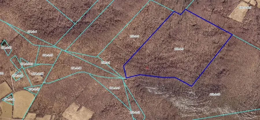 0 Roses Brk Road, Hobart, NY 13788 - Image #3