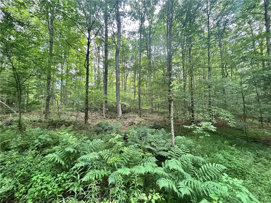 County Highway 3a, Unadilla, NY 13849 - Image #2