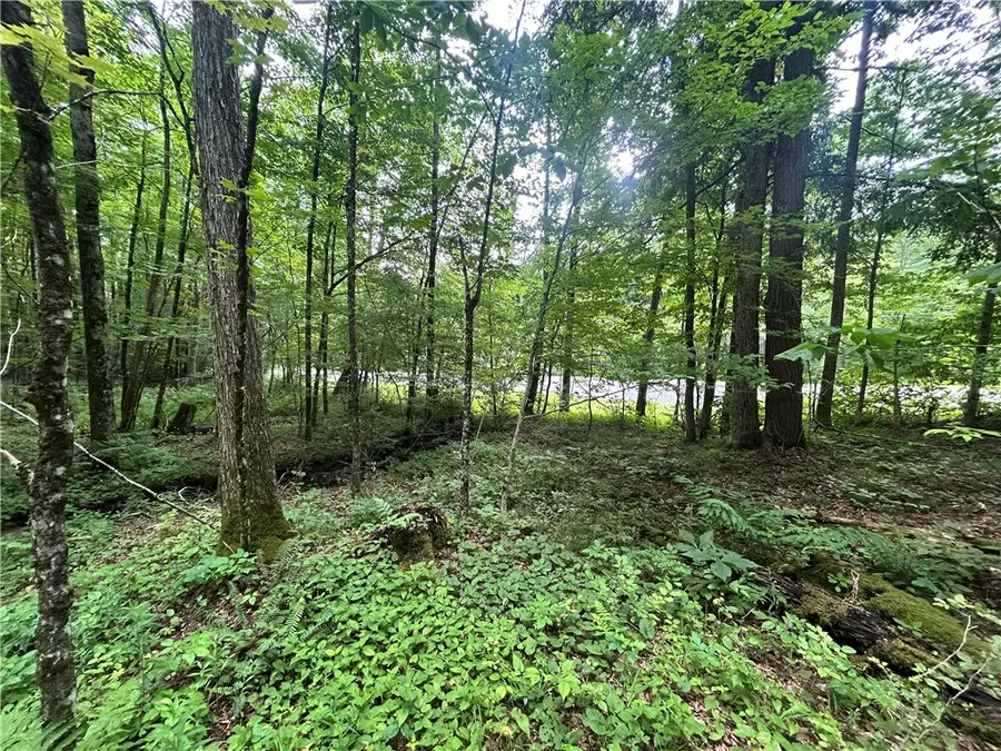 County Highway 3a, Unadilla, NY 13849 - Image #3