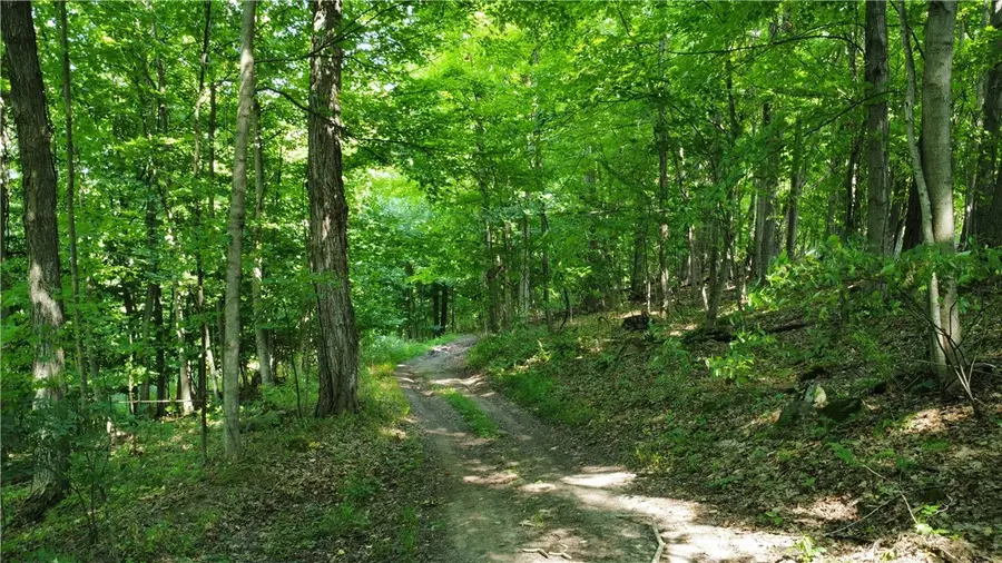 S Centenary Road, Sodus, NY 14551 - Image #3