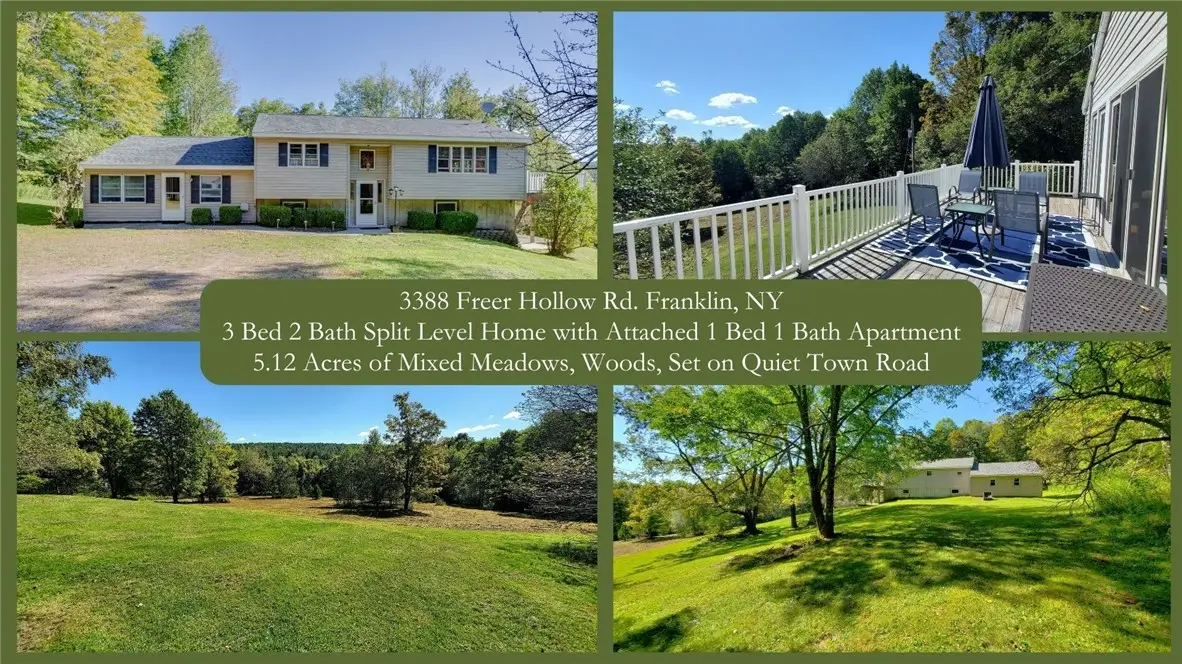 3388 Freer Hollow Road, Walton, NY 13856 - Image #1