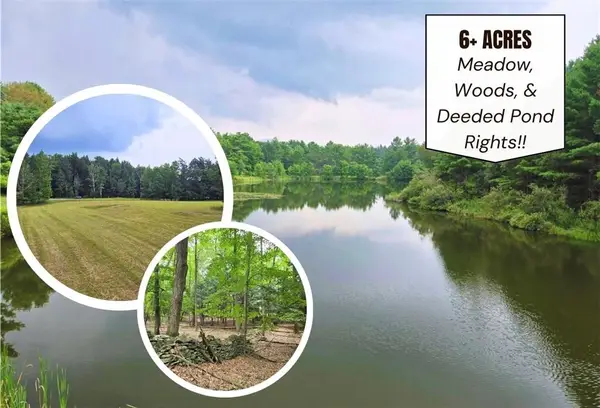 Lot 10 Bull Hill Road, Gilboa, NY 12076