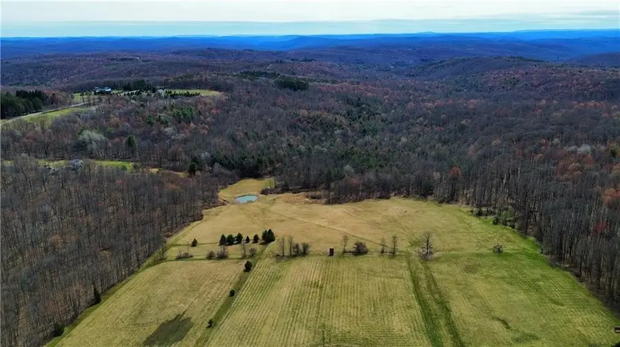 45 Kronus Road, Erin, NY 14838 - Image #3