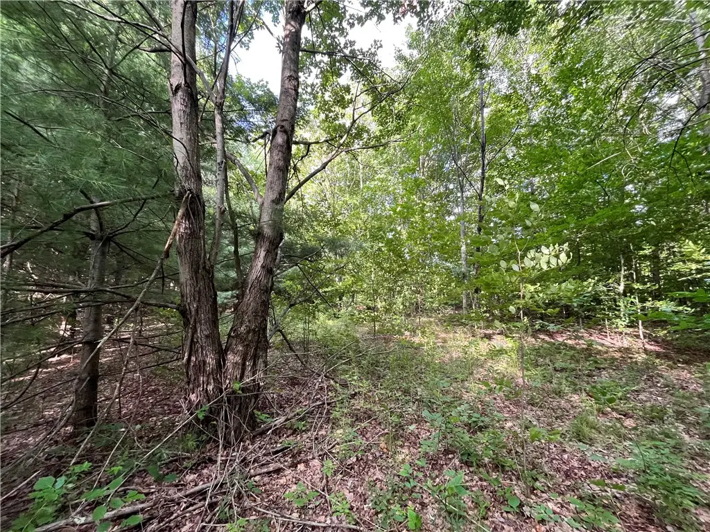 0 Held #11 Greenbush Road, Erin, NY 14838 - Image #1