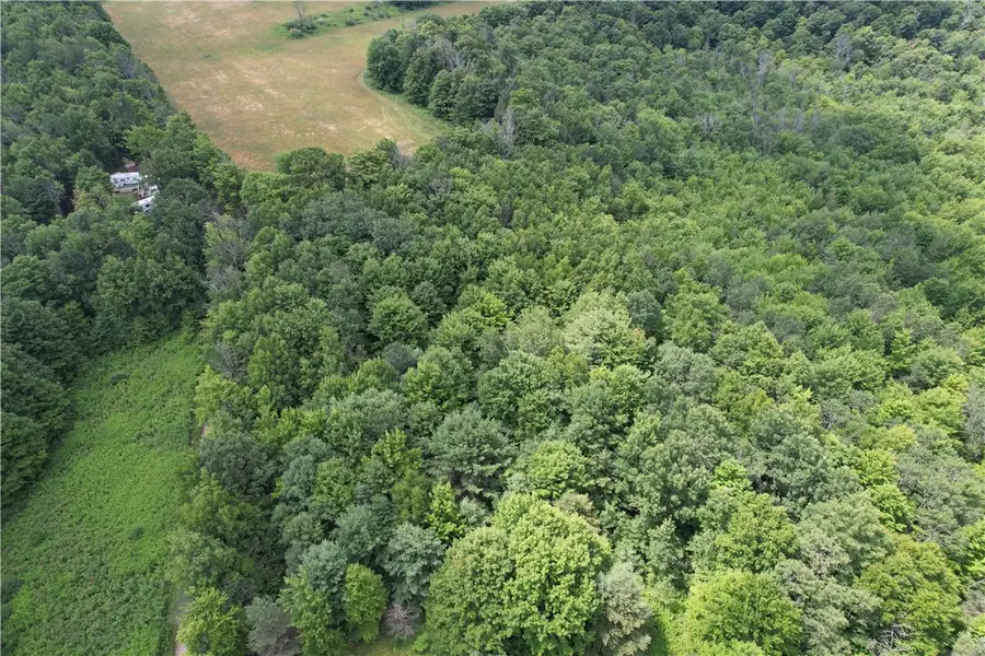 0 Held #11 Greenbush Road, Erin, NY 14838 - Image #2