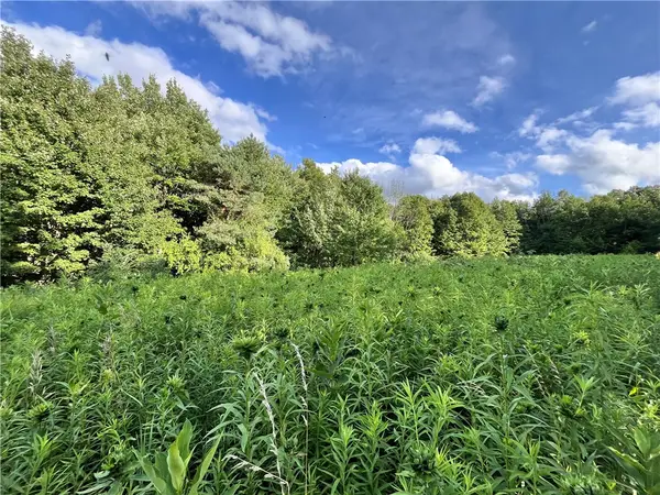 0 - Held #12 Greenbush Road, Erin, NY 14838