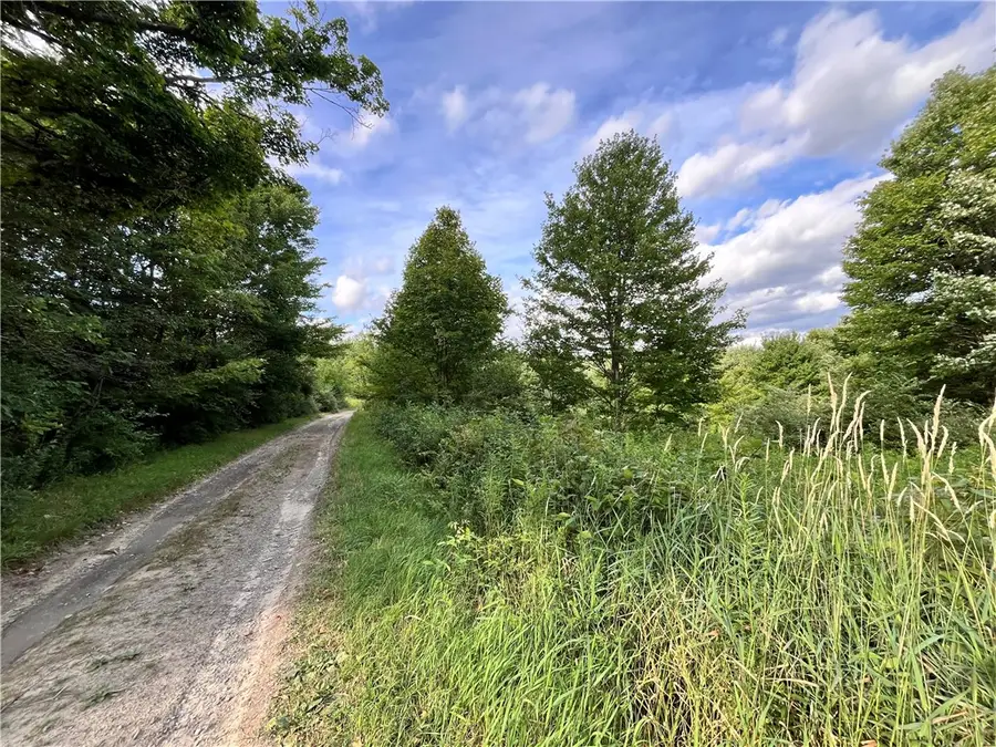 0 Held #13 Greenbush Road, Erin, NY 14838 - Image #3