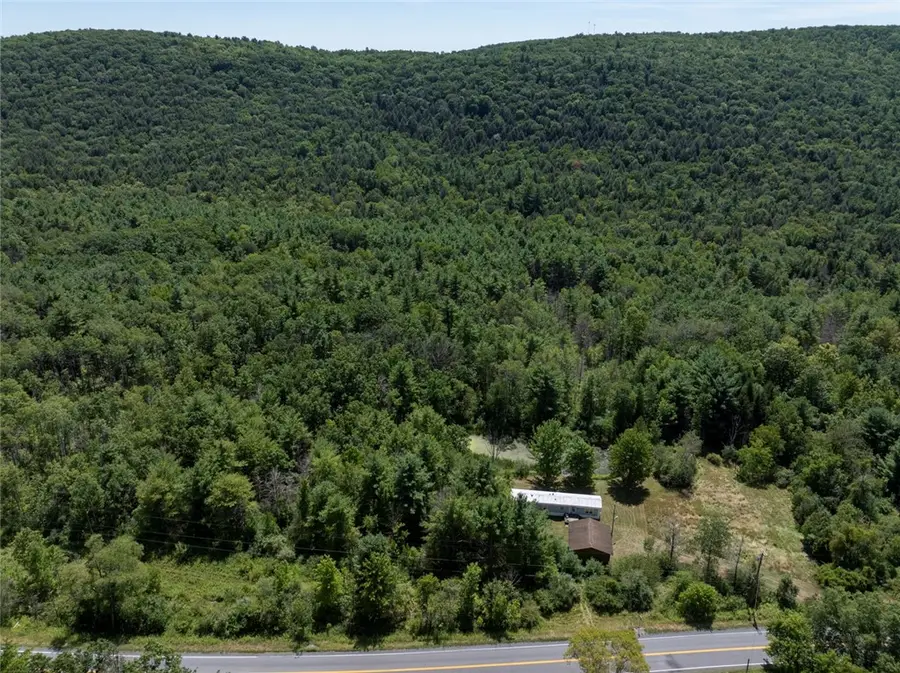 8230 County Route 16 (telegraph Road), Savona, NY 14879 - Image #3