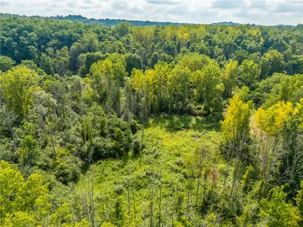 6901 Blue Cut Road, Newark, NY 14513