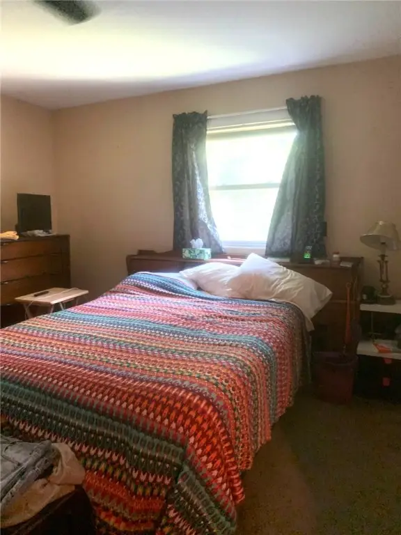 3335 Lisk Road, Odessa, NY 14869 - Image #3