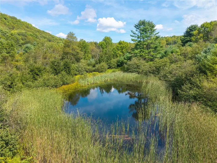 212 Morrell Road, Worcester, NY 12197 - Image #2