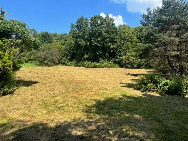 0 Honeypott Road, Candor, NY 13743 - Image #1