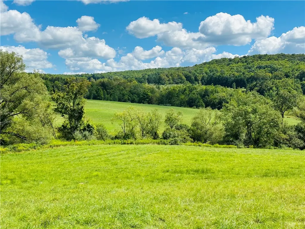 0 Teed Hill Road, Masonville, NY 13804 - Image #1