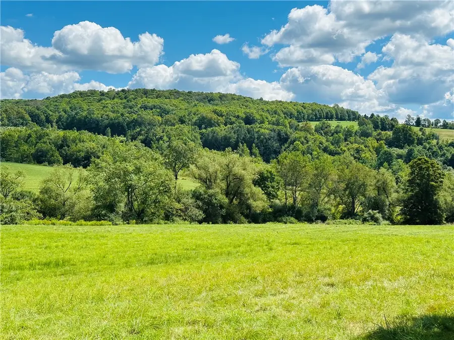 0 Teed Hill Road, Masonville, NY 13804 - Image #3