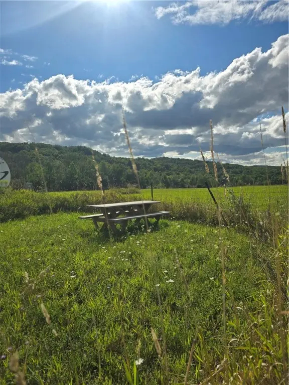 Potter Road, Jasper, NY 14855 - Image #2