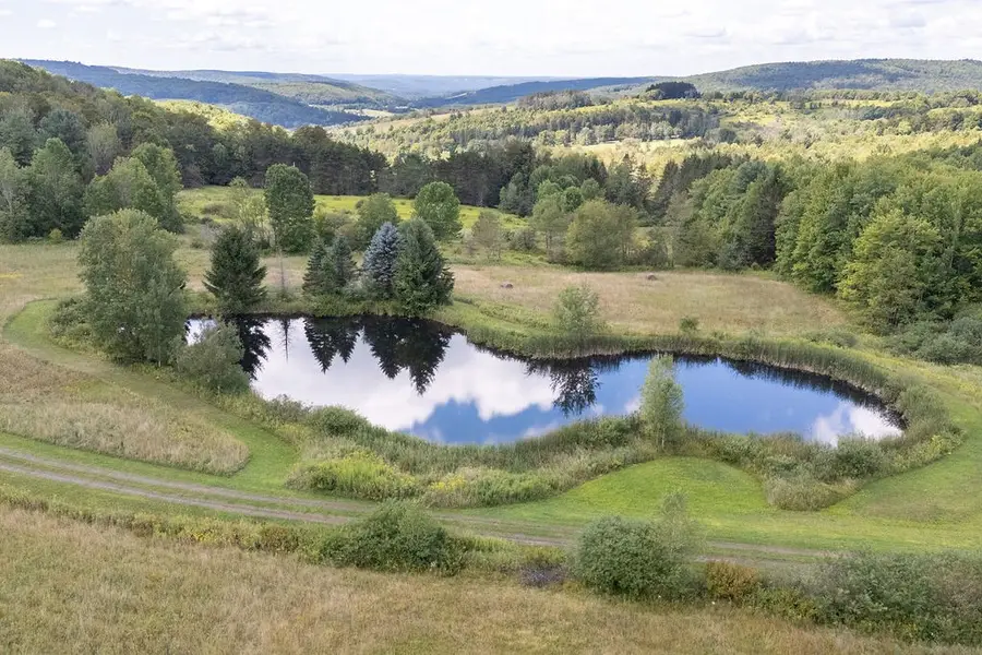 867 Randall Hill Rd, Masonville, NY 13804 - Image #3