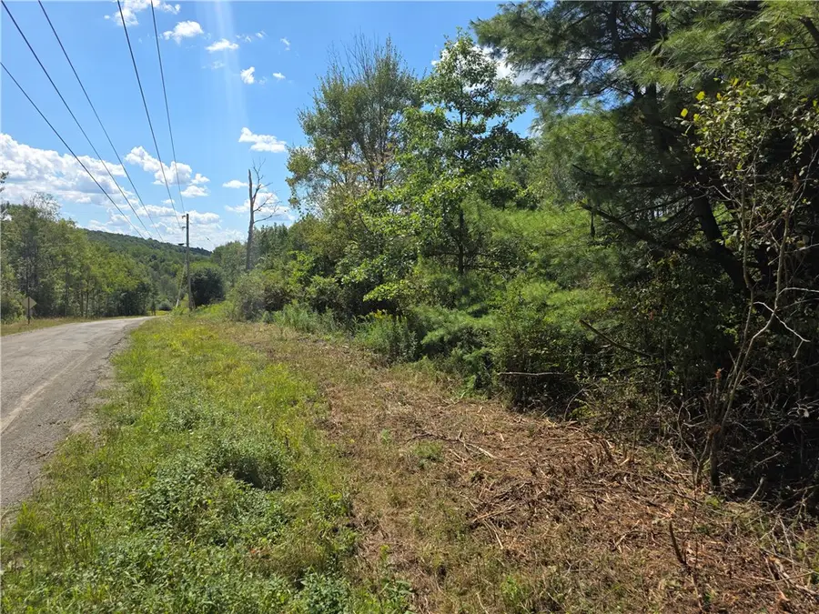 Frog Hollow Road, Painted Post, NY 14870 - Image #2