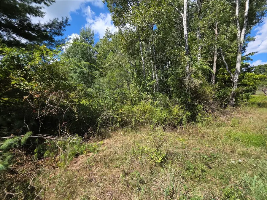 Frog Hollow Road, Painted Post, NY 14870 - Image #3